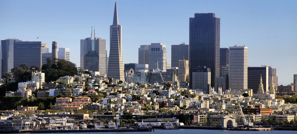 TenisiTech's Guardian Touch for Bay Area Business